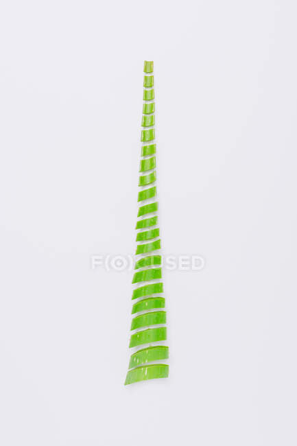 Вид сверху на ярко-зеленые ломтики суккулентного листа растения, представляющие концепцию елки — стоковое фото