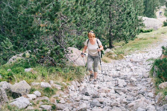 Полностью сконцентрированная взрослая женщина в повседневной одежде, практикующая ходьбу на шесте и поднимающаяся по каменистой тропинке на склоне холма летом на природе — стоковое фото