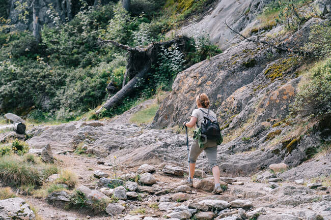 Полный вид назад на неузнаваемую концентрированную взрослую женщину в повседневной одежде, практикующую ходьбу на шесте и поднимающуюся по каменистой тропинке на склоне холма в летней природе — стоковое фото