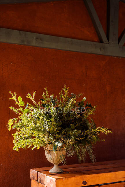 Vase mit frischem grünen Laub auf Holztisch im Sonnenlicht auf der Terrasse — Stockfoto