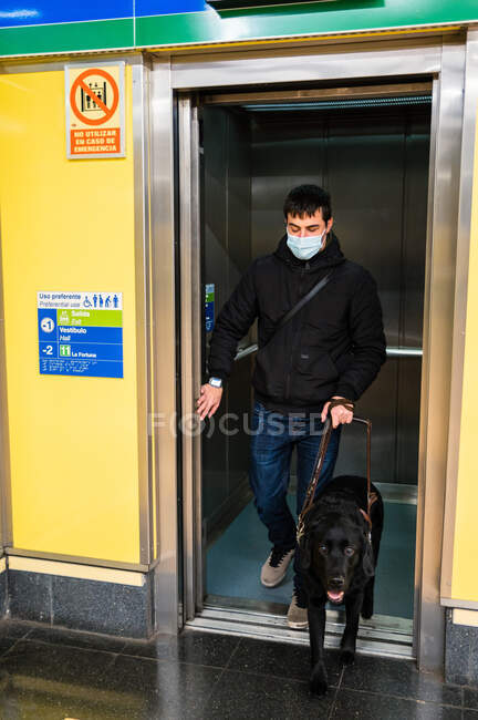 Full body of male with blindness in medical mask calling elevator standing with guide dog — Stock Photo