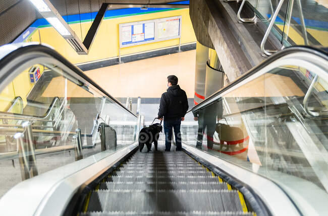 Back view full length of anonymous male suffering from blindness walking with obedient dog on moving staircase — Stock Photo