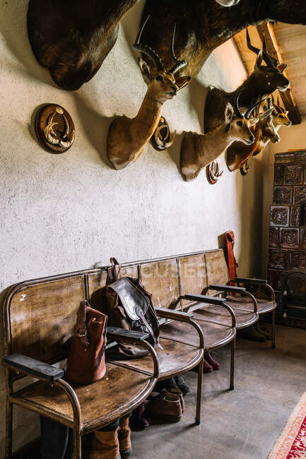 Innenraum des Jagdhauses mit ausgestopften Tieren, die an der Wand unter Schuhen für die Jagd hängen — Stockfoto