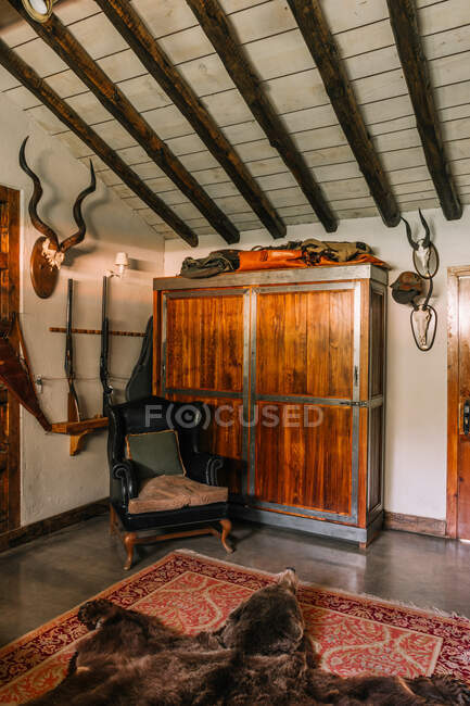 Старомодное кресло, установленное возле шкафа в охотничьем домике с рогами животных и шкурой медведя на полу — стоковое фото