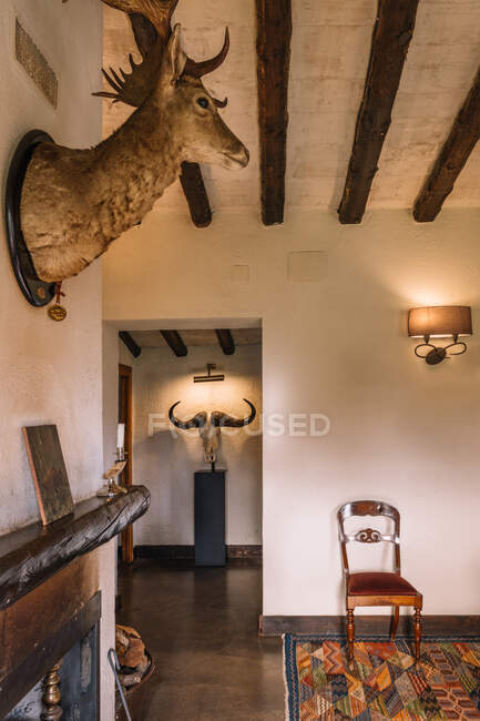 Інтер'єр стильної кімнати, прикрашеної лампами і фаршированими тваринами в житловій квартирі — стокове фото