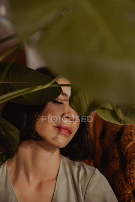 Através de folhas de planta verde de fêmea delicada sentado em poltrona de couro em casa e olhos fechados — Fotografia de Stock