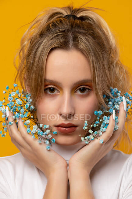 Приваблива молода жінка стоїть з блакитними ніжними квітами гіпсофіли на обличчі на жовтому фоні в студії, дивлячись на камеру — стокове фото