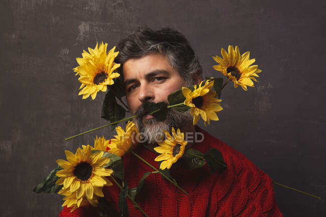 Creativo maschio maturo in maglia maglione che copre il viso con girasoli luminosi su sfondo nero — Foto stock