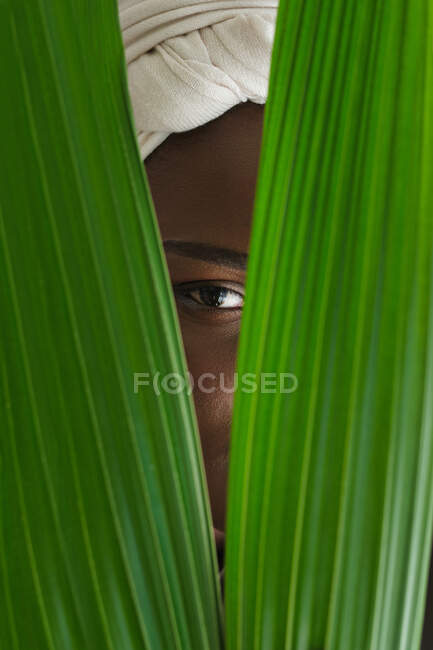 Cultivo irreconocible hembra negra en turbante tradicional mirando a la cámara a través de hojas verdes de planta tropical en el jardín - foto de stock