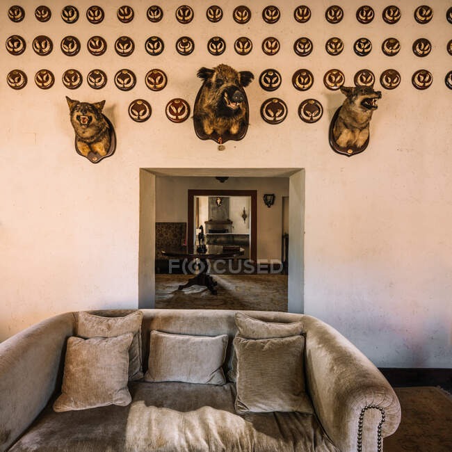 Intérieur d'une chambre élégante décorée avec des lampes et des animaux en peluche dans un appartement résidentiel — Photo de stock
