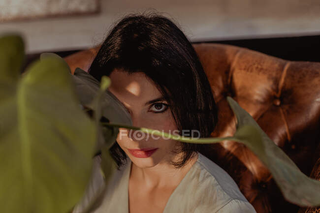 A través de hojas de planta verde de delicada hembra sentada en sillón de cuero en casa y mirando a la cámara - foto de stock