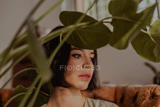 A través de hojas de planta verde de delicada hembra sentada en sillón de cuero en casa y mirando hacia otro lado - foto de stock