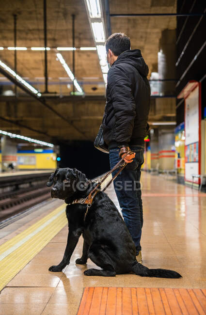 Вид збоку на бік повне тіло анонімного сліпого чоловіка в масці, що стоїть з собакою-поводирем на повідку на платформі — стокове фото