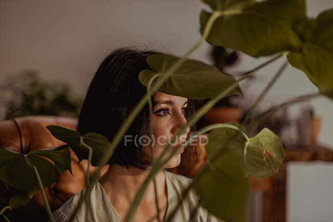 Через листя зеленої рослини ніжної жінки, що сидить у шкіряному кріслі вдома і дивиться в сторону — стокове фото