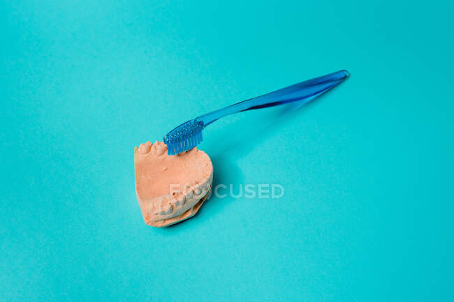 Dall'alto della mascella superiore fusa e spazzolino da denti in plastica con setole morbide che rappresentano il concetto di igiene dentale — Foto stock