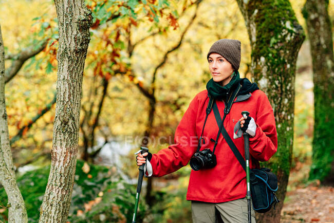 Позитивна молода самотня мандрівниця у теплому одязі з фотокамерою на шиї, яка практикує скандинавську ходьбу восени лісу і мрійливо дивиться у далечінь. — стокове фото