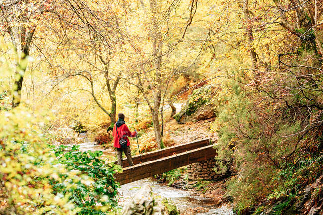 From above female hiker in warm clothes with photo camera practicing Nordic walk in autumn forest and looking away dreamily — Stock Photo