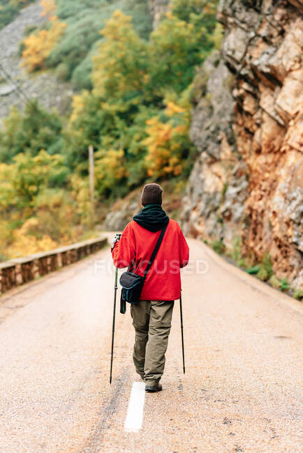 Back view female hiker in warm clothes with photo camera practicing Nordic walk in autumn forest and looking away dreamily — Stock Photo