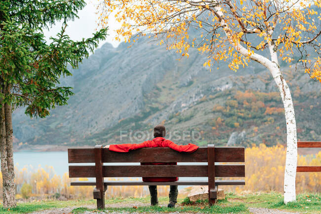 Vista posterior persona anónima en ropa de abrigo descansando en el banco en el pintoresco parque de otoño contra la cordillera severa y el lago tranquilo - foto de stock