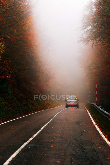 Задня частина сучасного автомобіля, що їде по сільській дорозі вздовж листяного лісу в туманний осінній день — стокове фото