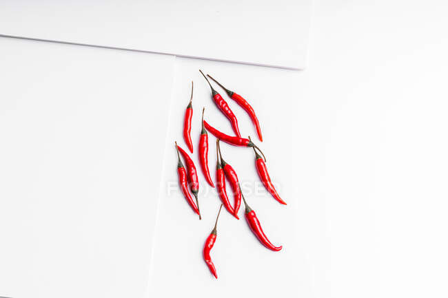 Composition à angle élevé de piments rouges chauds disposés sur fond de surface de tableau blanc — Photo de stock