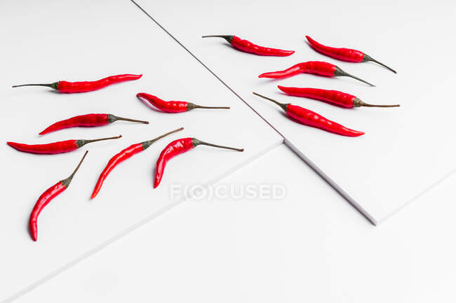 Composición de alto ángulo de chiles rojos picantes dispuestos placa contra fondo de la superficie del tablero blanco - foto de stock