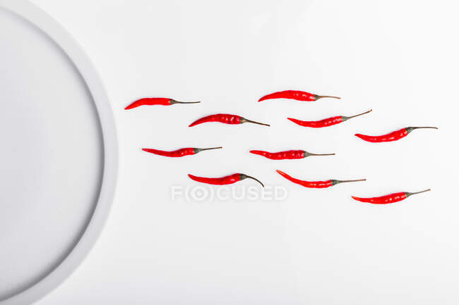 High angle composition of hot red chili peppers arranged near plate against white background — Stock Photo