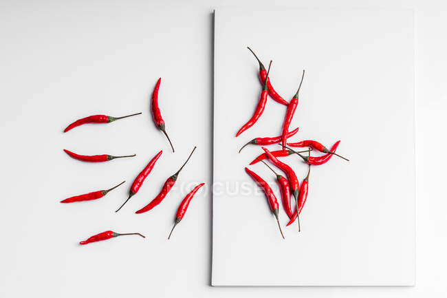 Alta composizione angolare di peperoncini rossi caldi disposti piatto contro sfondo superficie bordo bianco — Foto stock