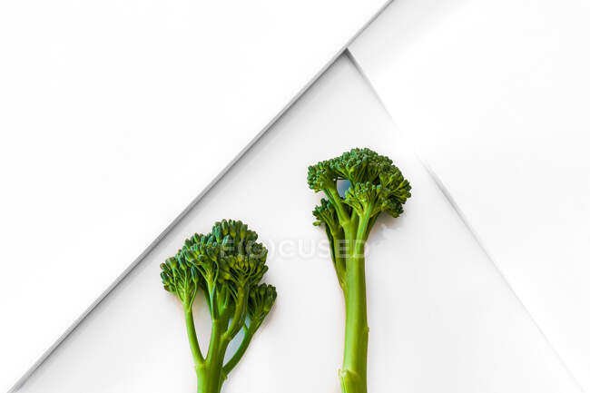 Вид сверху свежей брокколи, представляющей концепцию здоровой пищи на белой геометрической поверхности — стоковое фото