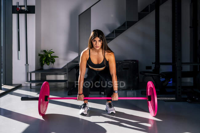 Full body of strong female powerlifter practicing deadlift exercise with heavy barbell with pink weight discs during training — Foto stock