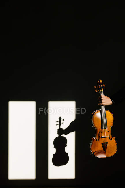 Cortar músico irreconocible en camisa negra de seda sosteniendo violín acústico moderno en mano extendida en habitación oscura contra ventana en día soleado - foto de stock