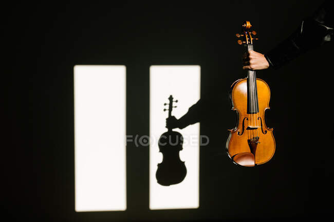 Crop unrecognizable musician in silk black shirt holding modern acoustic violin in outstretched hand in dark room against window on sunny day — Stock Photo