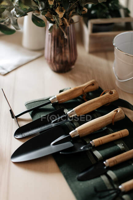 Различные металлические лопатки с мотыгой и садовая вилка возле вазы с растением в домашних условиях — стоковое фото