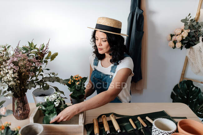Young female gardener in denim overalls with potted plants with blooming flowers in wooden box — Stock Photo