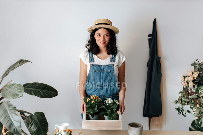 Young content female gardener in denim overalls looking at camera with potted plants with blooming flowers in wooden box - foto de stock