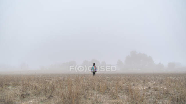 Person strolling on dry meadow against misty trees in nature in winter day — Stock Photo