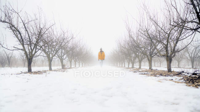 Full body of male in warm winter clothes strolling on snowy path covered with snow in park — Stock Photo