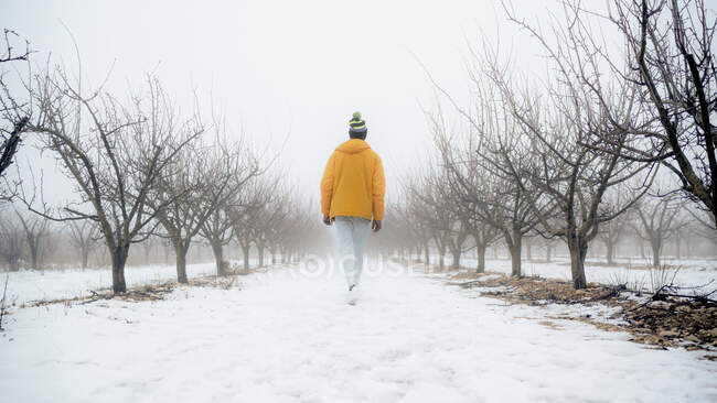 Vista trasera de cuerpo completo de un hombre irreconocible con ropa cálida de invierno paseando por un sendero cubierto de nieve en el parque - foto de stock