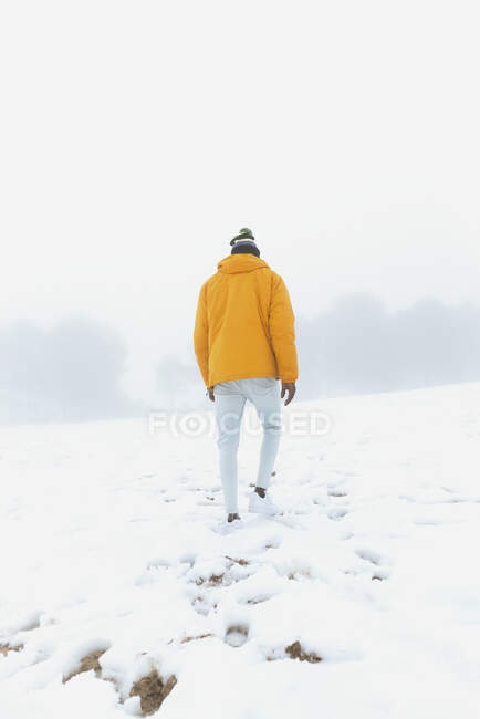 Back view of anonymous ethnic male in outerwear and jeans walking on snow and leaving footprints in winter meadow — Stock Photo