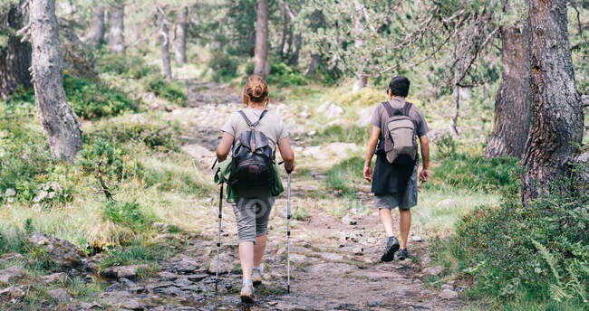 Вид ззаду анонімних рюкзаків, що ходять по горі під час літньої подорожі — стокове фото