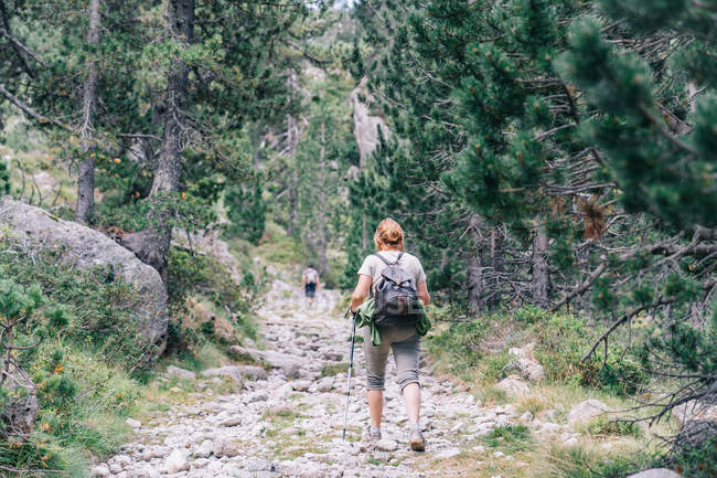 Вид ззаду анонімних рюкзаків, що ходять по горі під час літньої подорожі — стокове фото