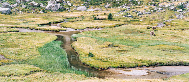 Vue pittoresque du ruisseau ondulé entre les prairies verdoyantes et les rochers rugueux avec des pierres en journée — Photo de stock