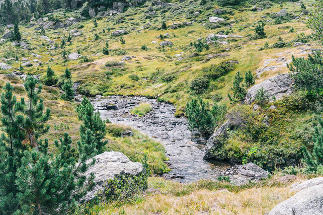 Vue pittoresque du ruisseau ondulé entre les prairies verdoyantes et les rochers rugueux avec des pierres en journée — Photo de stock