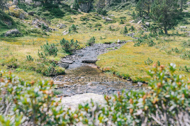 Живописный вид на волнистый ручей между зелеными лугами и грубыми камнями с камнями в дневное время — стоковое фото
