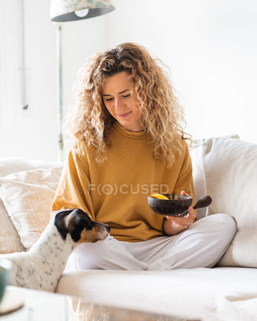 Mulher alegre com cabelo encaracolado sentado com tigela na mão em sofá confortável e olhando para calma Ratonero Bodeguero Andaluz cão de pé nas proximidades em apartamento leve — Fotografia de Stock