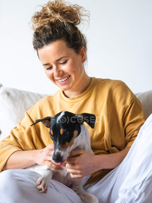 Весела жінка з кучерявим волоссям звичайний одяг сидить з слухняним Ратонеро Бодегуеро Андалуз собакою на дивані в маленькій квартирі. — стокове фото