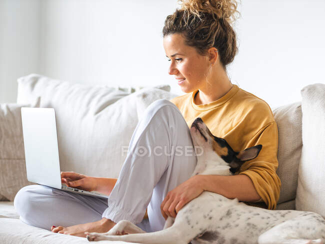 Положительная женщина-фрилансер в повседневной одежде сидит с собакой Ратонеро Бодегуэро Андалуз на удобном диване во время работы над проектом на ноутбуке в светлой комнате — стоковое фото