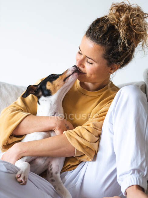 Cheerful woman with curly hair an casual clothes sitting with obedient Ratonero Bodeguero Andaluz dog on sofa in light apartment — Stock Photo