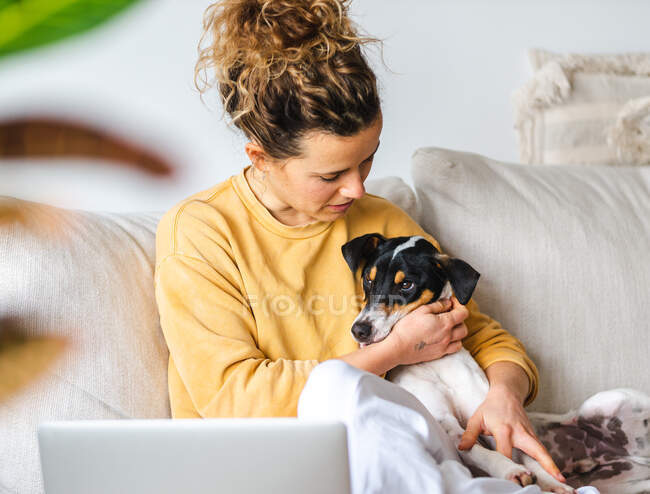 Freelancer feminino positivo em roupas casuais sentado com Ratonero Bodeguero Andaluz cão no sofá confortável enquanto trabalhava no projeto no laptop na sala de luz — Fotografia de Stock