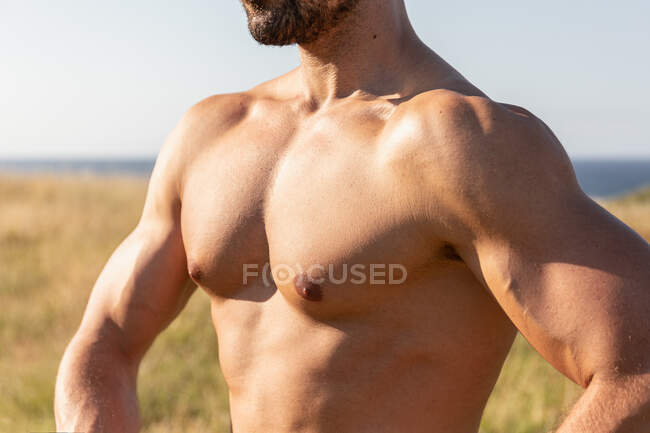 Визначений чоловік спортсмен з сильним голим торсом, що стоїть на трав'янистому пагорбі в сонячний день влітку і дивиться вниз — стокове фото